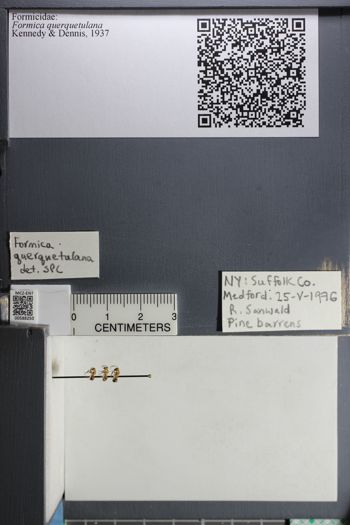 Media type: image;   Entomology 588250